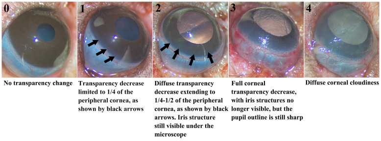 Figure 3