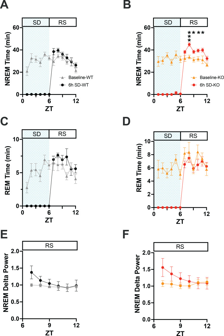 Figure 6