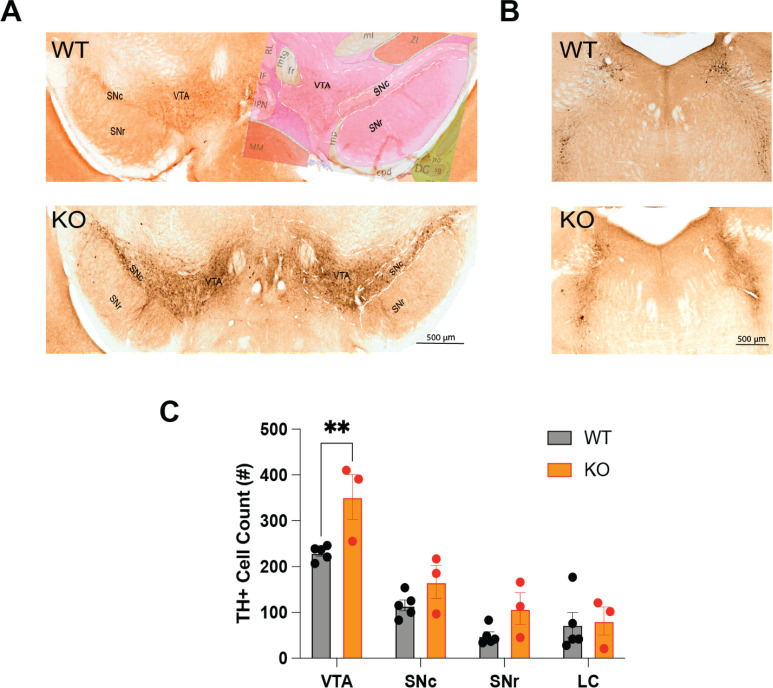 Figure 7