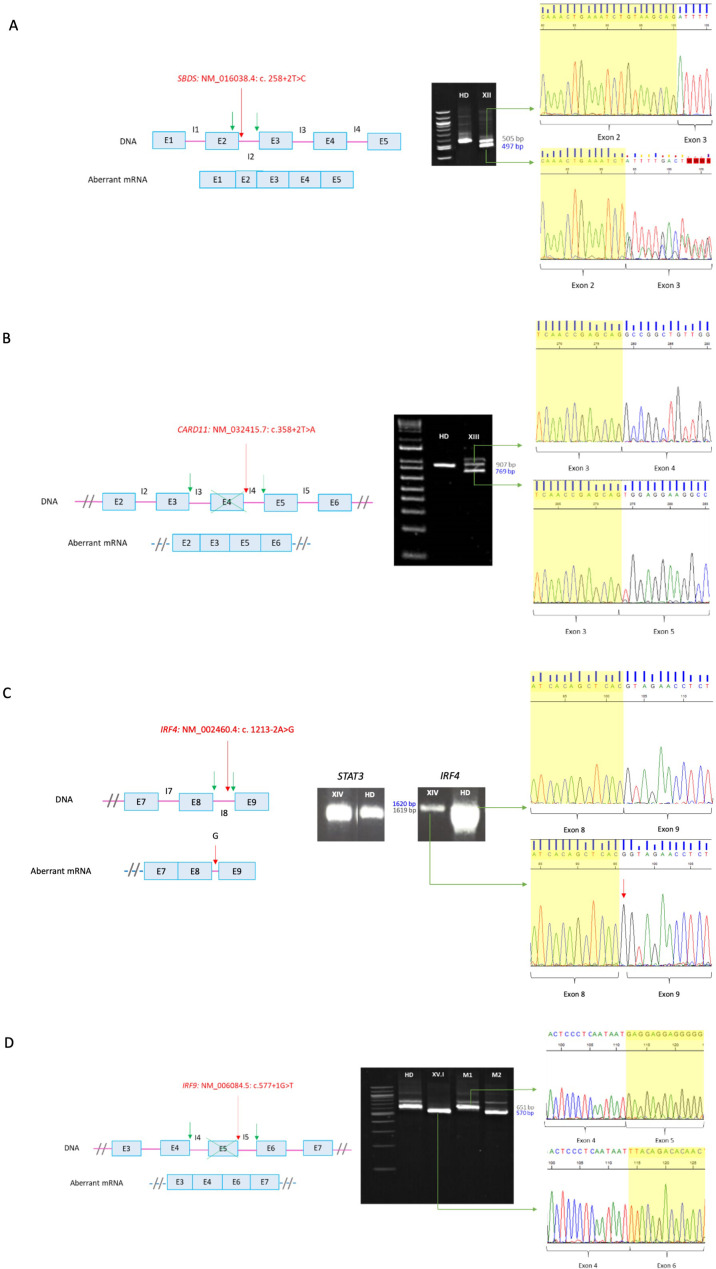 Figure 2