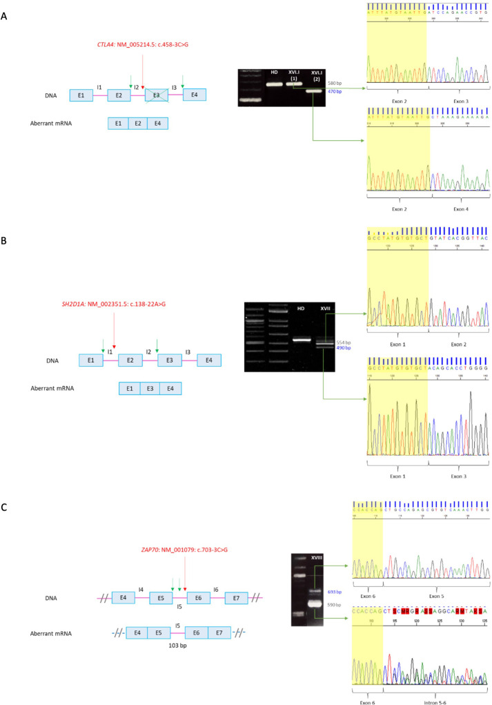 Figure 3