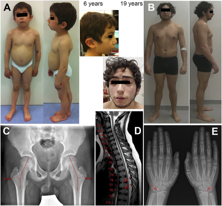 Figure S1