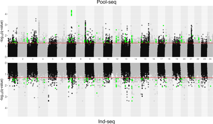 FIGURE 3