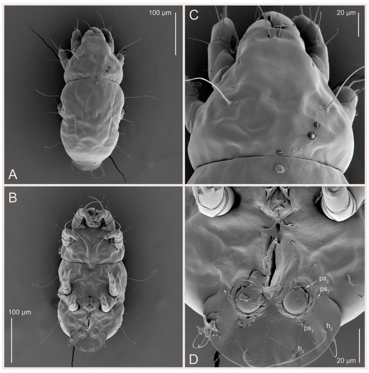 Figure 11