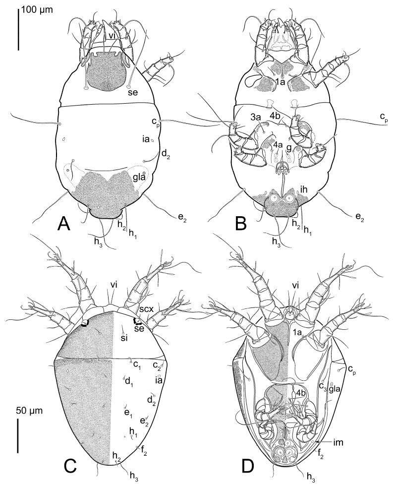 Figure 13