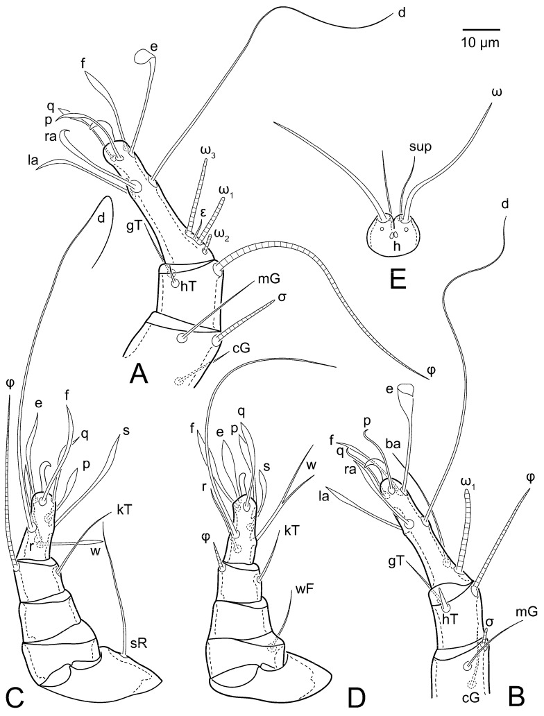 Figure 15