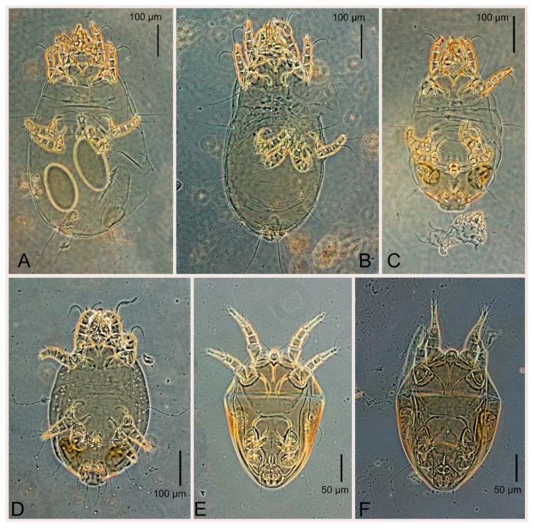 Figure 16