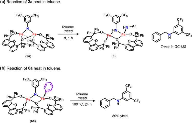 Scheme 5