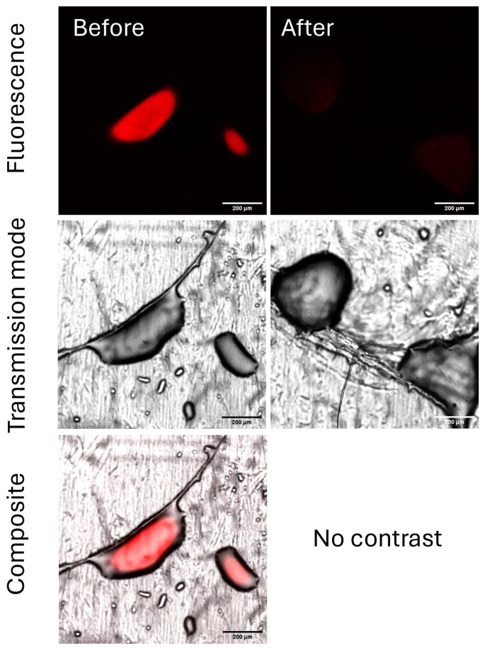 Figure 12