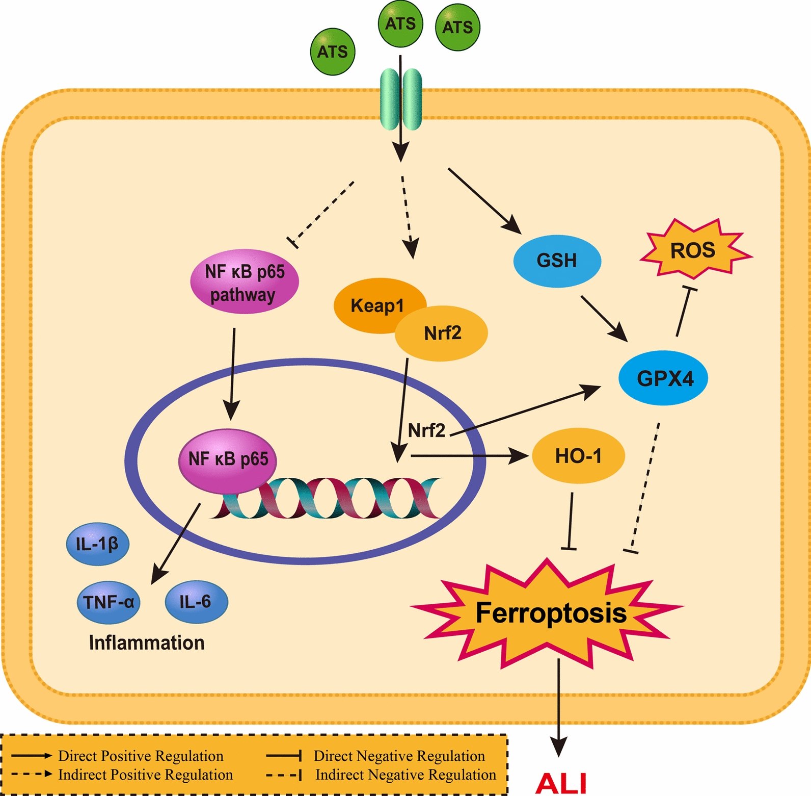Figure 7