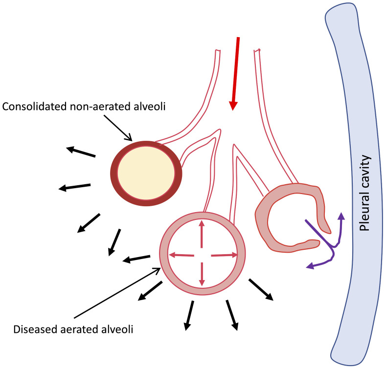 Supplementary Figure 1