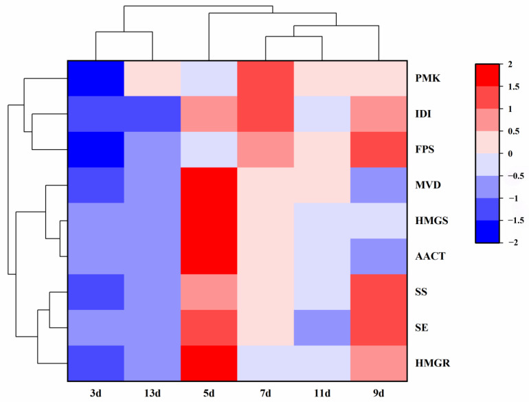 Figure 7