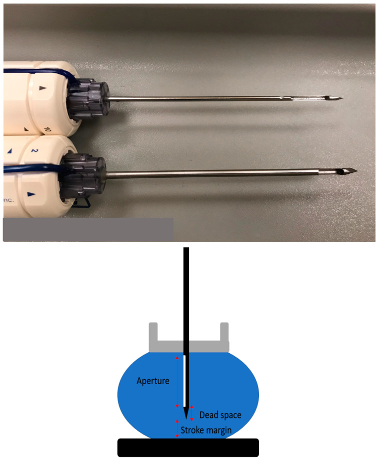 Figure 11