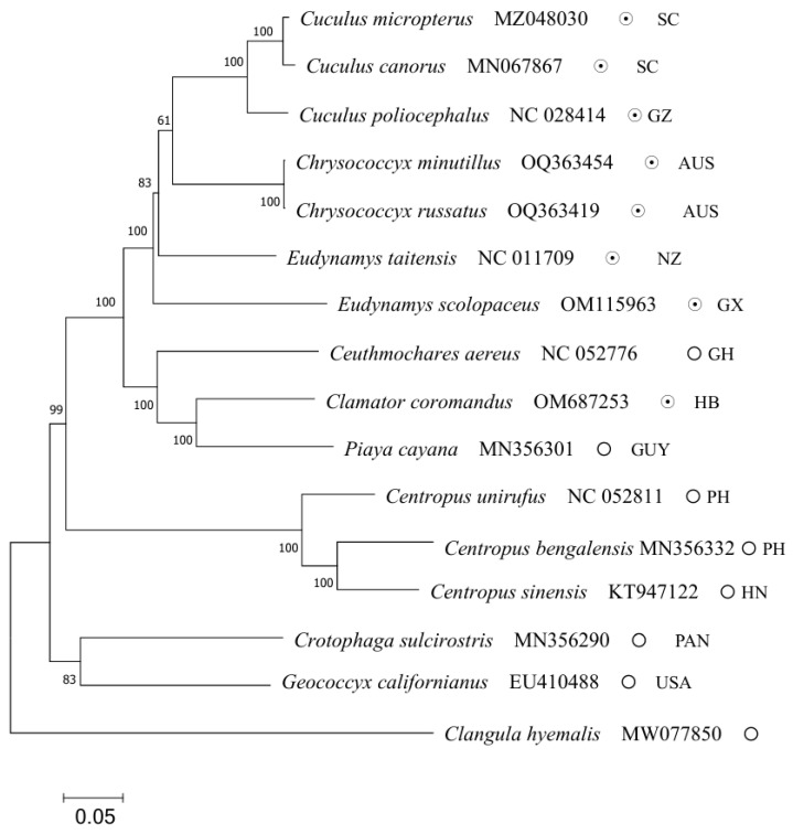 Figure 5