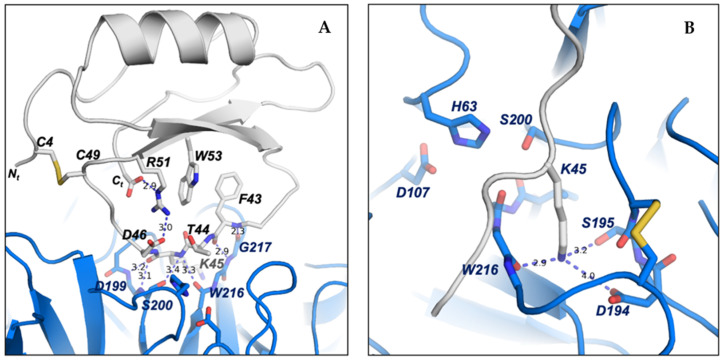 Figure 10