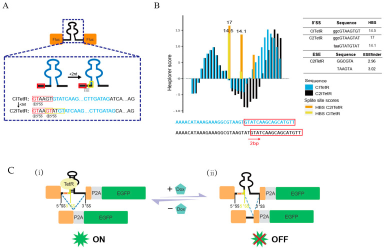 Figure 7