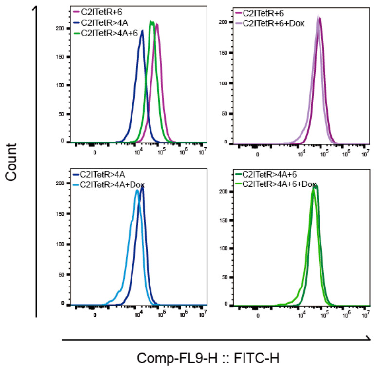 Figure 10