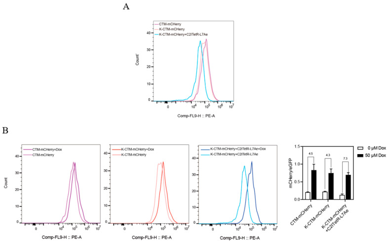 Figure 12