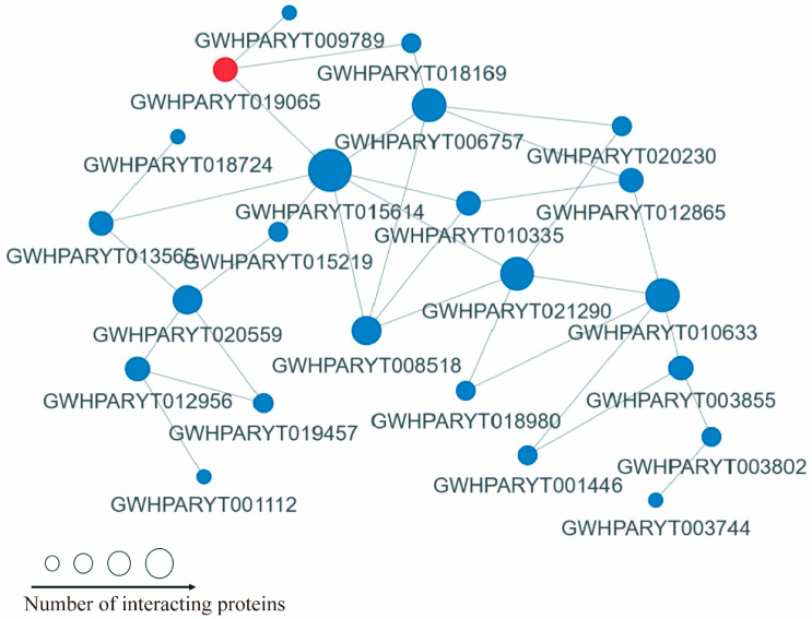Figure 6