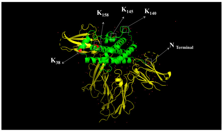 Figure 9