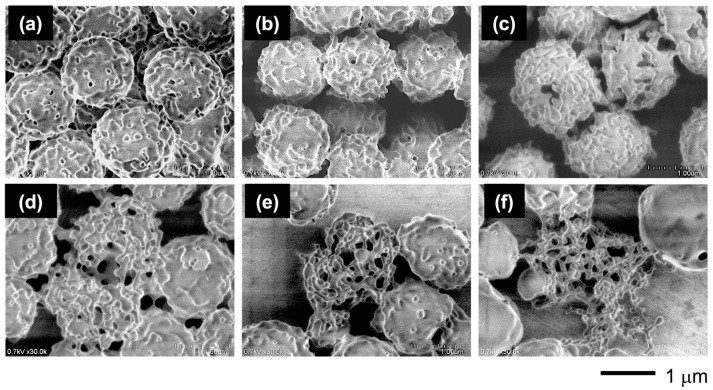 Figure 14
