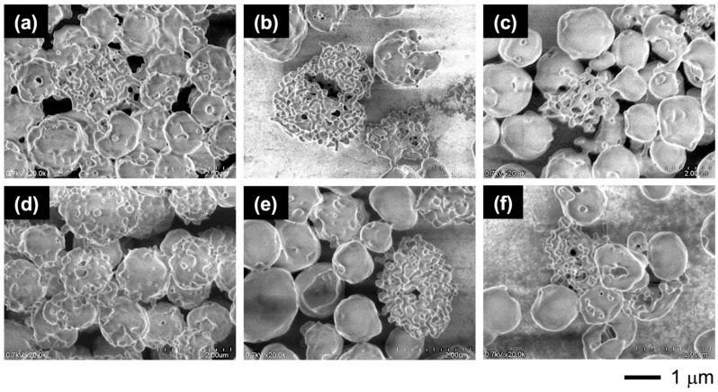 Figure 15
