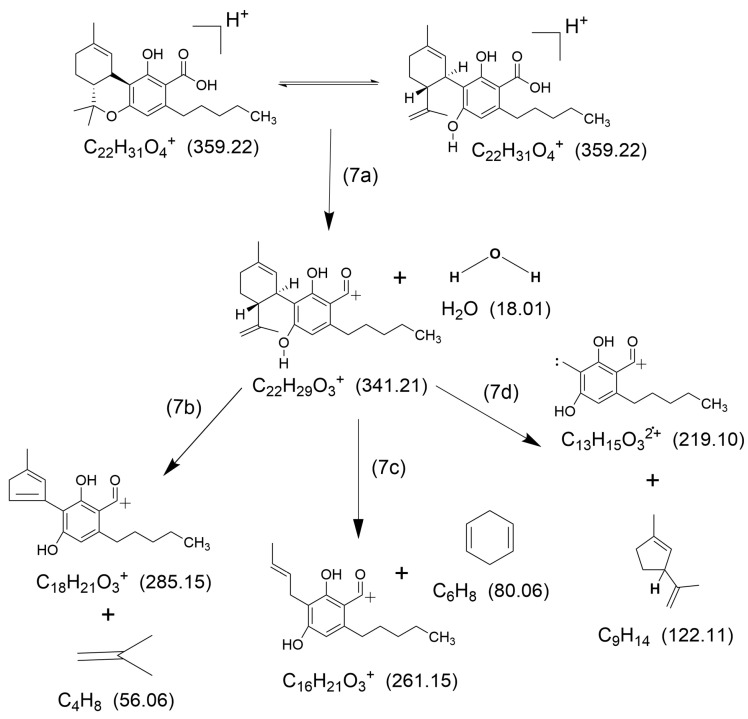 Figure 7