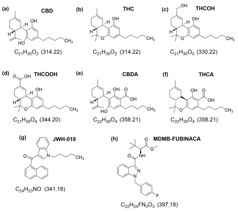 Figure 13