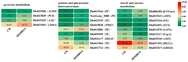 Figure 6