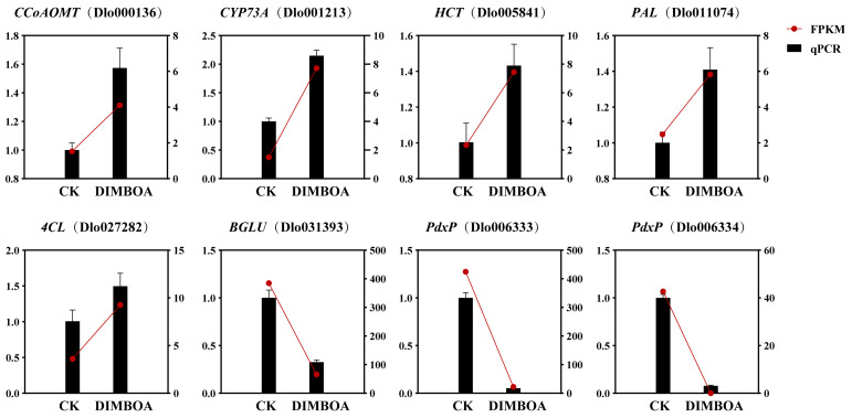 Figure 11