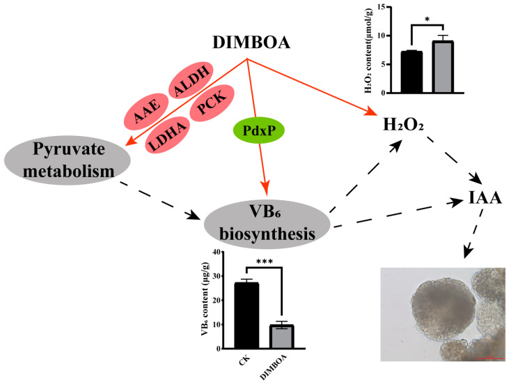 Figure 12