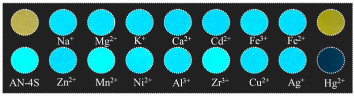 Figure 10