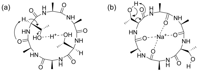 Figure 8