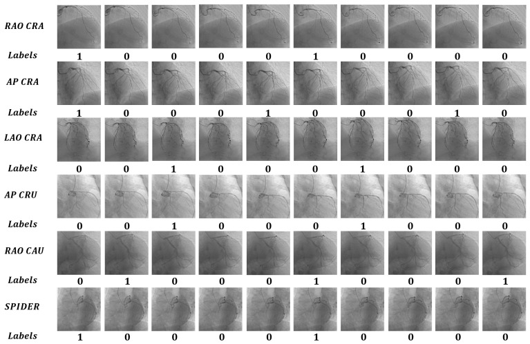 Figure 7