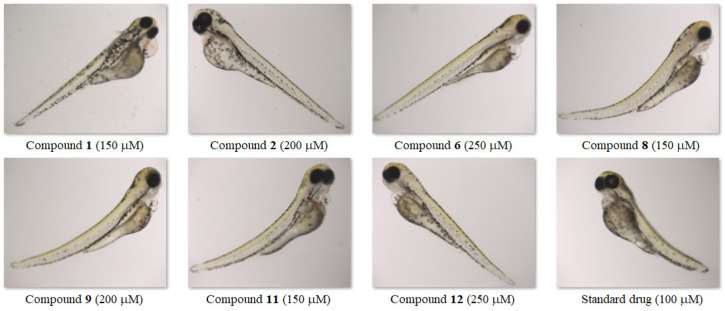 Figure 10