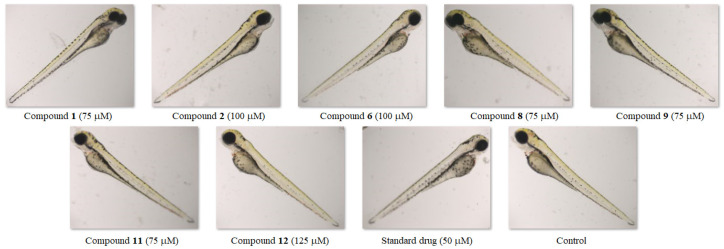 Figure 11