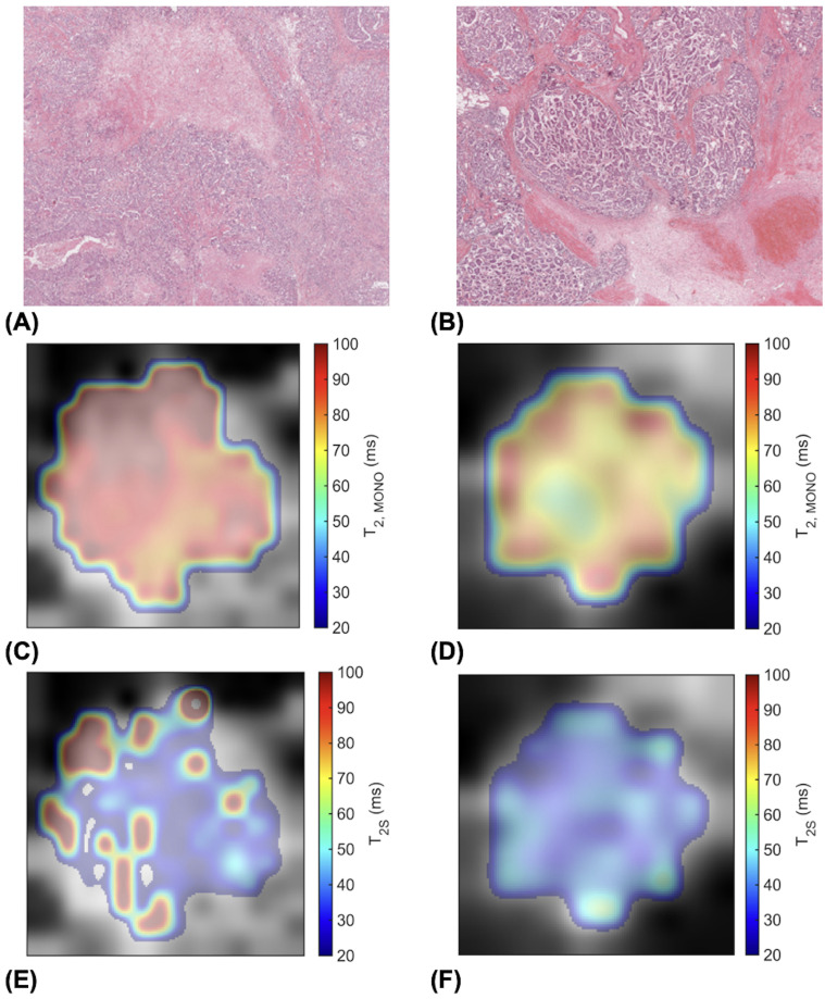 Figure 5