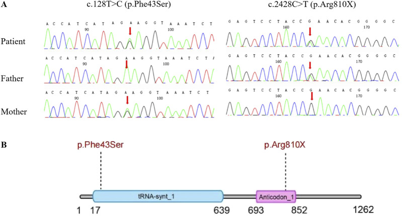 FIGURE 3