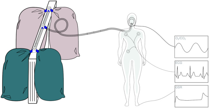 FIGURE 1