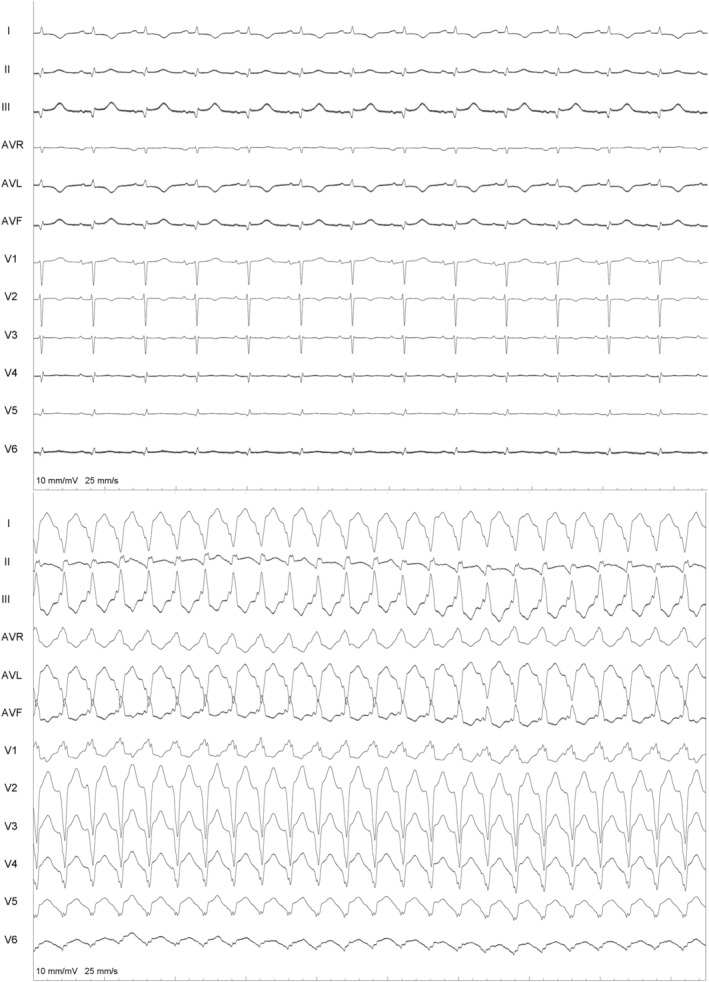 FIGURE 1