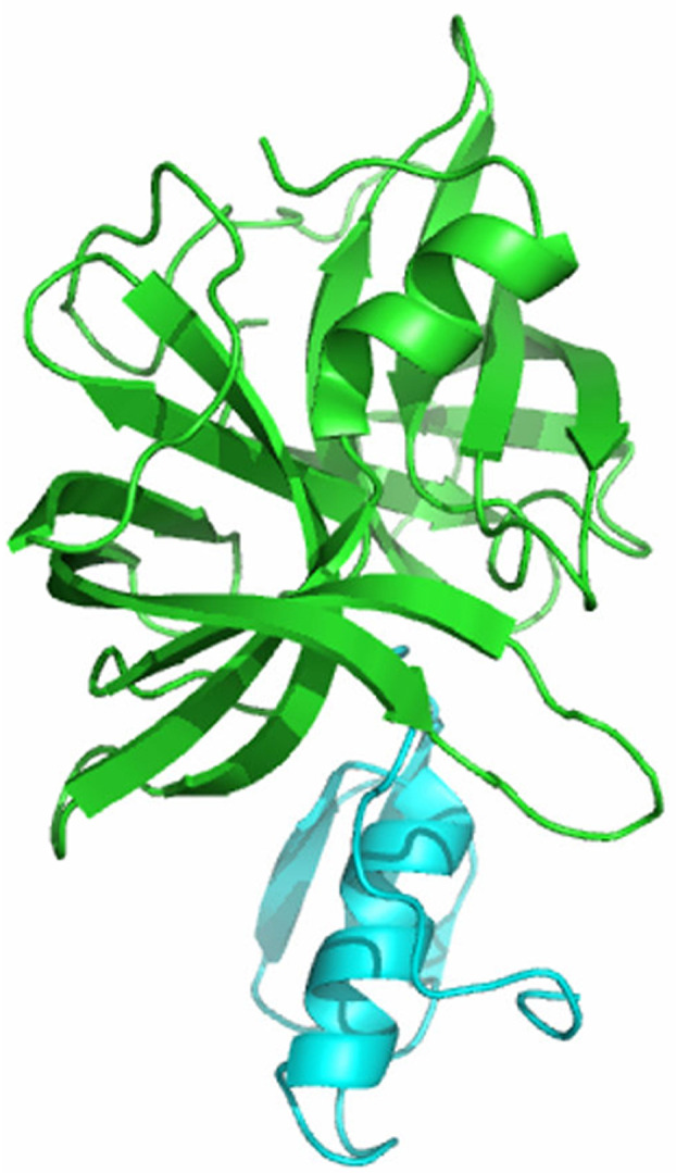 FIG. 2