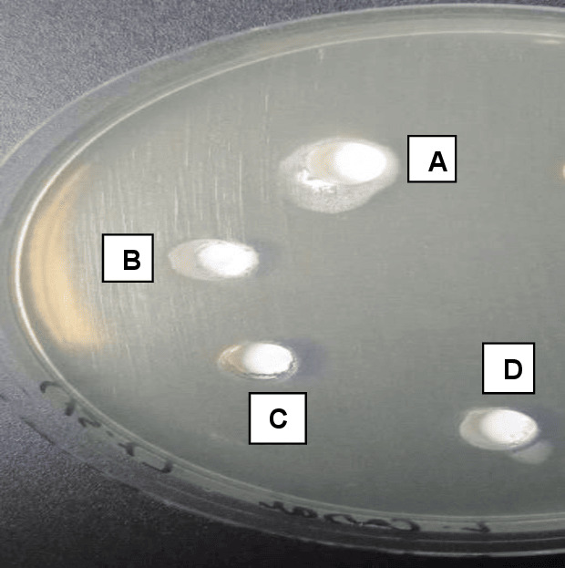 Figure 5