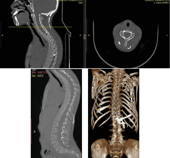 Figure 10