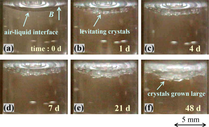 Fig 3