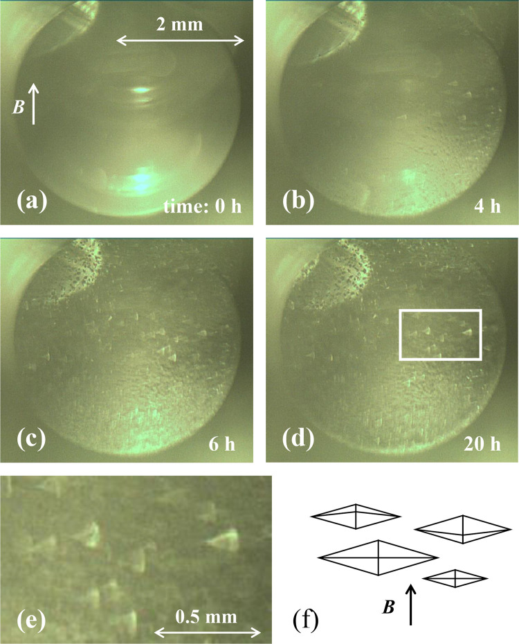 Fig 5