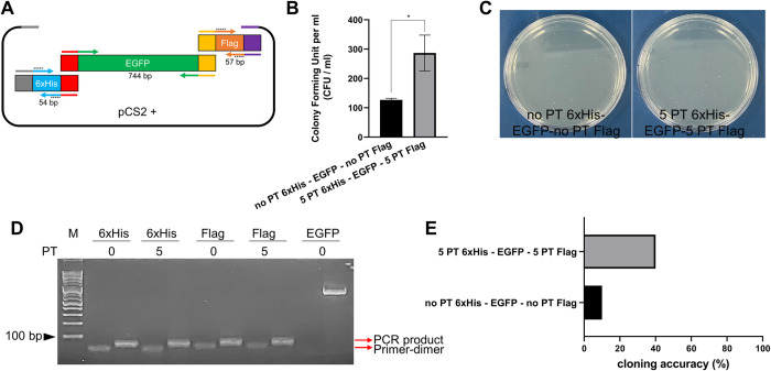 Fig 8