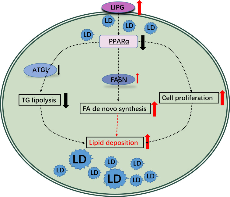 Fig 8
