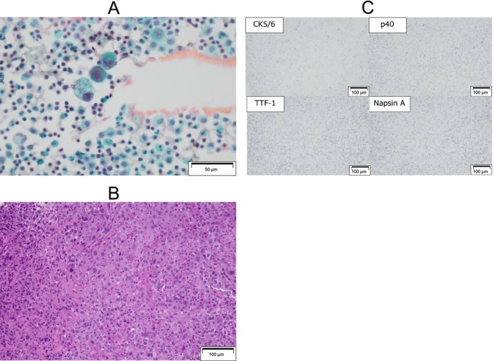 FIGURE 2