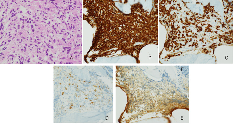 Figure 2