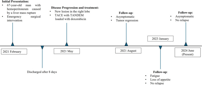 FIGURE 1